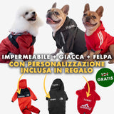 Set Inverno "Felpa + Giacca + Impermeabile"