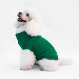 Maglioncino Dolcevita Verde