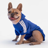 Felpa "Adidog" Blu Personalizzabile con nome