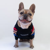 Maglioncino Di Lana "Woof" Nero Dettagli Blu/Rossi