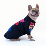 Maglioncino Di Lana "Woof" Nero Dettagli Blu/Rossi