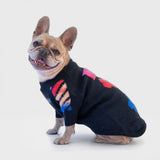 Maglioncino Di Lana "Woof" Nero Dettagli Blu/Rossi