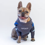 Maglioncino Di Lana "Woof" Grigio Dettagli Neri/Blu