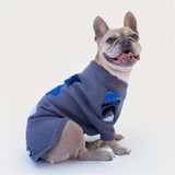 Maglioncino Di Lana "Woof" Grigio Dettagli Neri/Blu