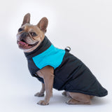 Piumino Dettaglio Celeste Pettorina integrata Personalizzabile con nome