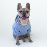 Felpa "The Dog Face" Grigia Personalizzabile con nome