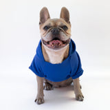 Felpa "The Dog Face" Blu Personalizzabile con nome