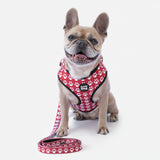 Pettorina Trendy Dog® "Zampette" Personalizzabile con nome, fino a 35kg