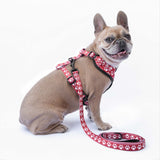 Pettorina Trendy Dog® "Zampette" Personalizzabile con nome, fino a 35kg