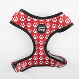 Pettorina Trendy Dog® "Zampette" Personalizzabile con nome, fino a 35kg