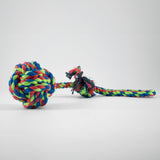 Palla Da Lancio Con Laccio per cani di piccola e media taglia