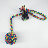 Palla Da Lancio Con Laccio per cani di piccola e media taglia