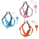 Pettorina Traspirante + Guinzaglio 3 colori per cani da 1 a 35 kg