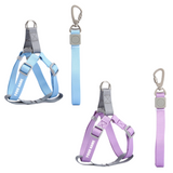 Pettorina Step In + Guinzaglio 2 Colori Personalizzabile con nome