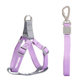 Pettorina Step In + Guinzaglio 2 Colori Personalizzabile con nome