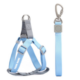 Pettorina Step In + Guinzaglio 2 Colori Personalizzabile con nome