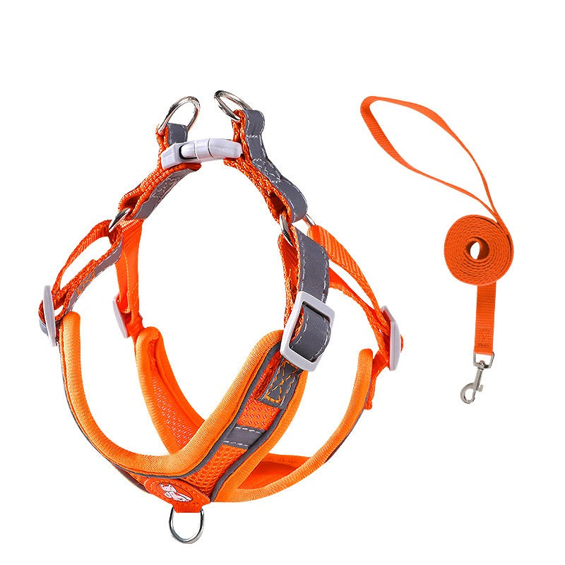 Harnais respirant + laisse 3 couleurs pour chien de 1 à 35 kg