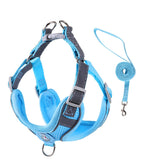 Harnais respirant + laisse 3 couleurs pour chien de 1 à 35 kg