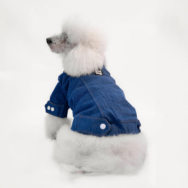 Giacche di Jeans