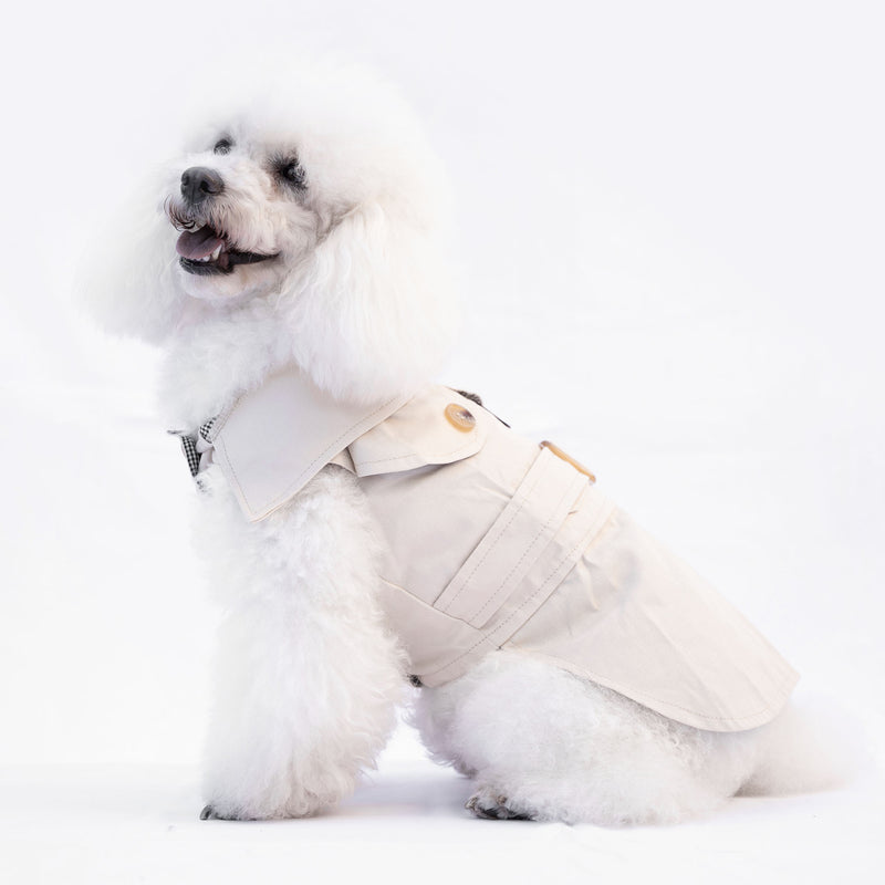Trench Beige