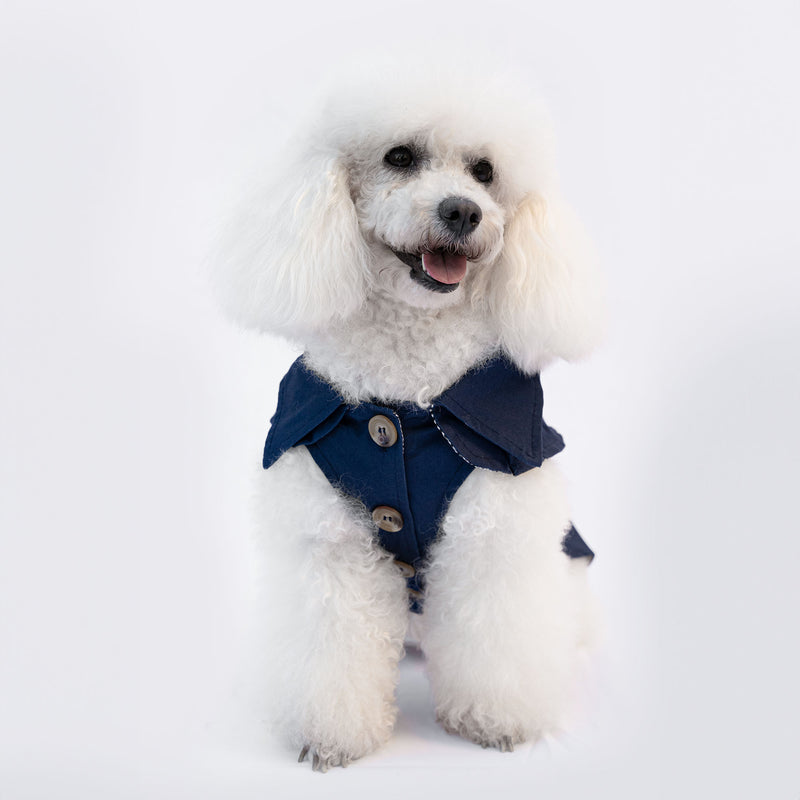 Trench Blu