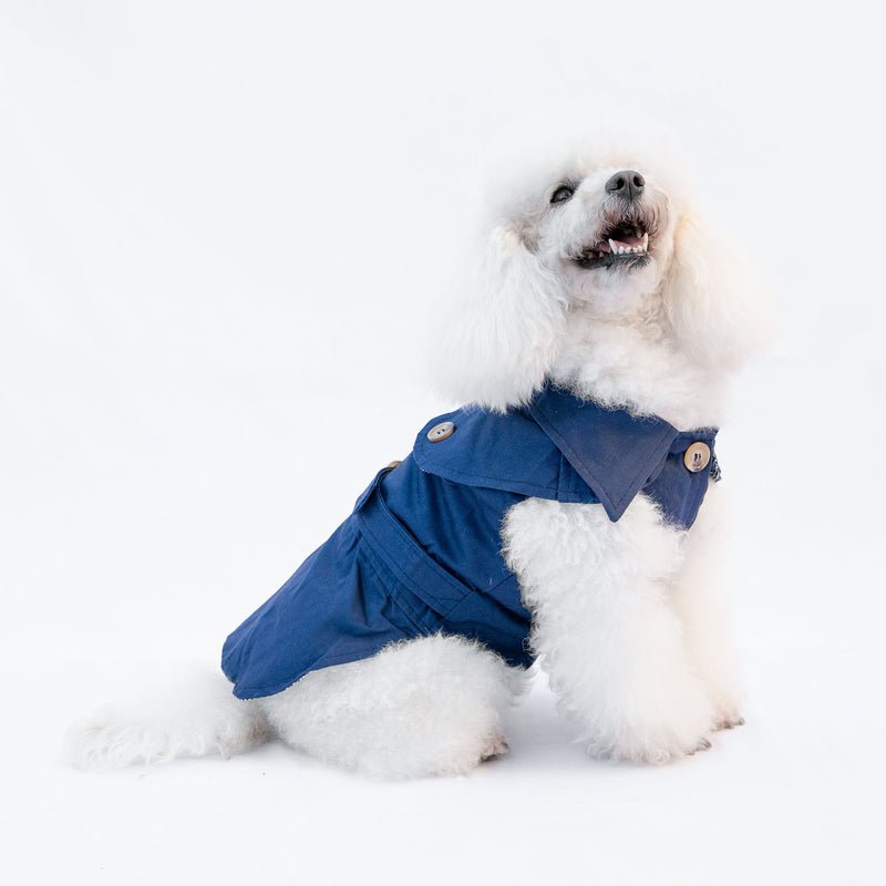 Trench Blu