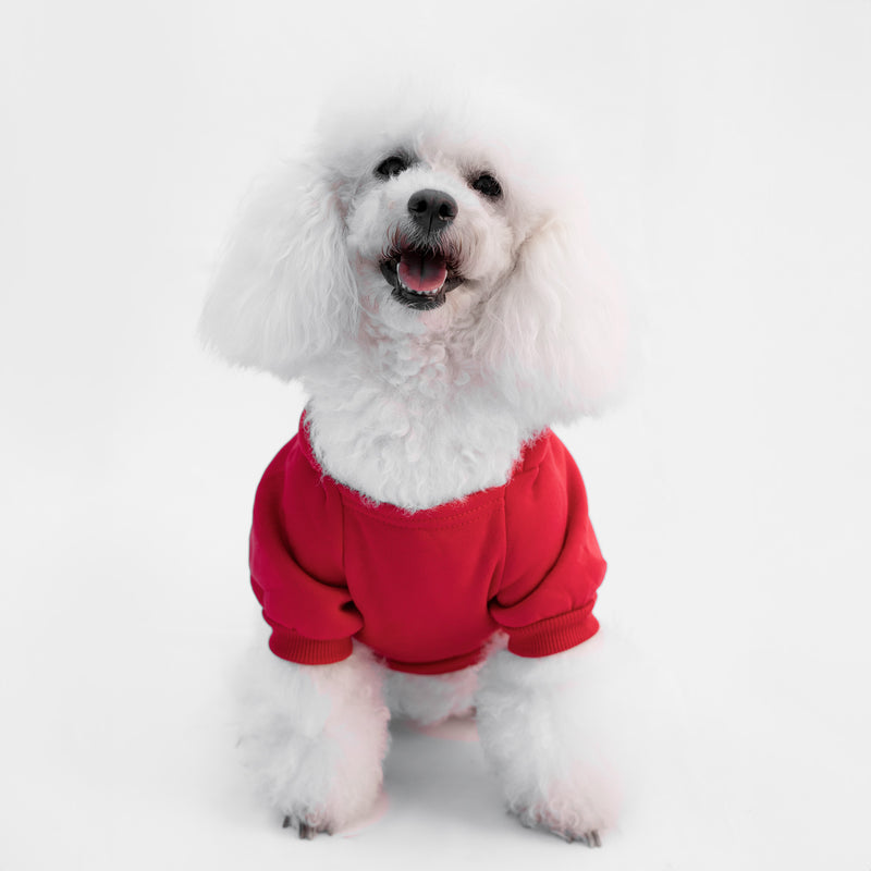 Felpa "Trendy Dog" Rossa Personalizzabile con Nome e Numero