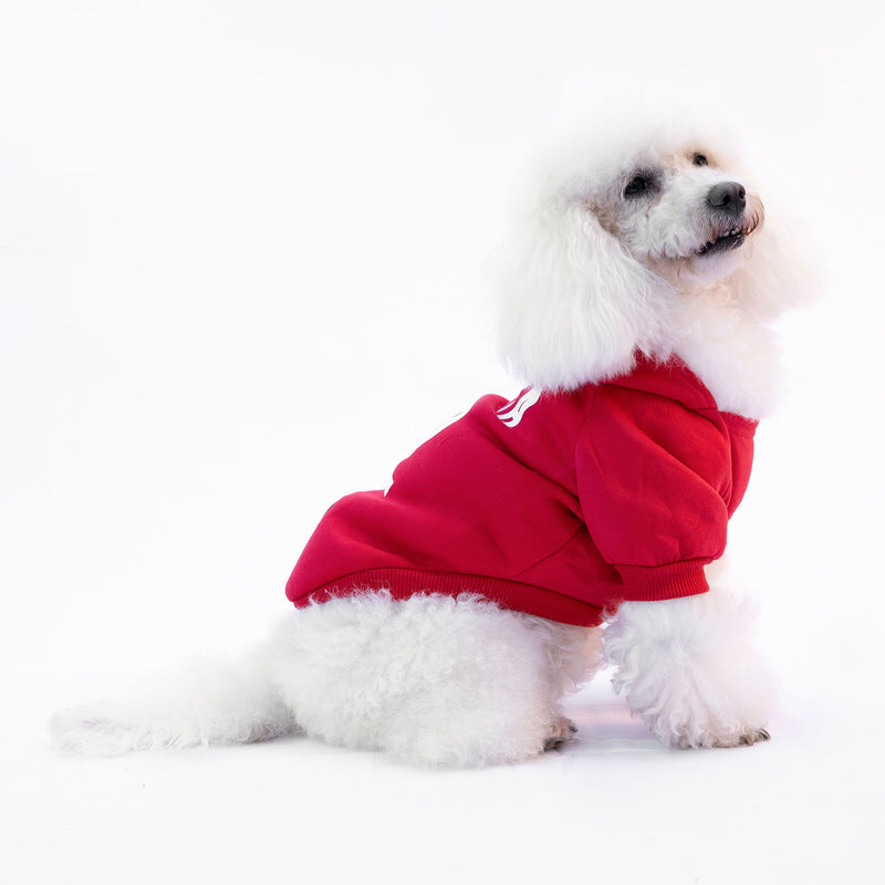 Sweat rouge "Trendy Dog" personnalisable avec nom et numéro