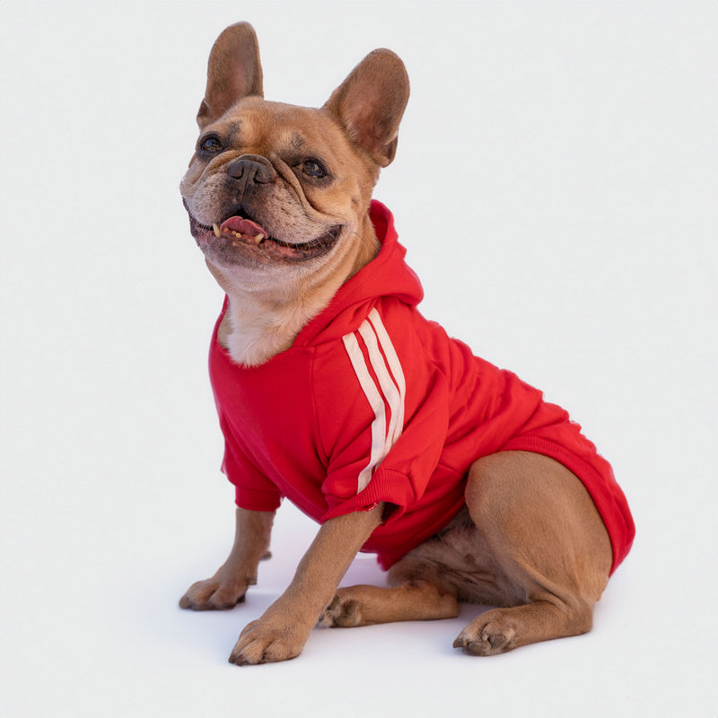 Rotes „Adidog“-Sweatshirt, personalisierbar mit Namen