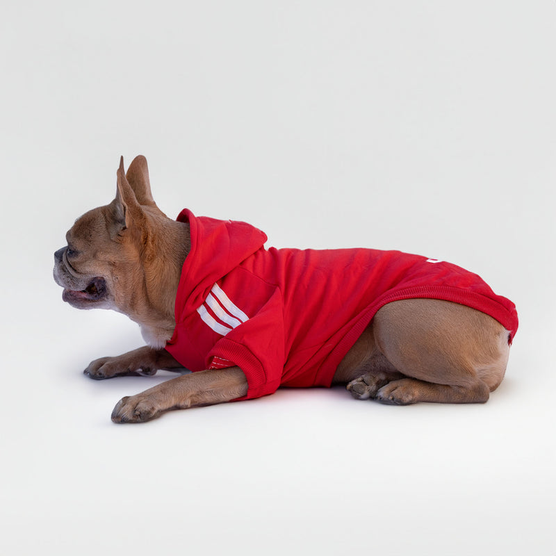 Adidog rouge hotsell