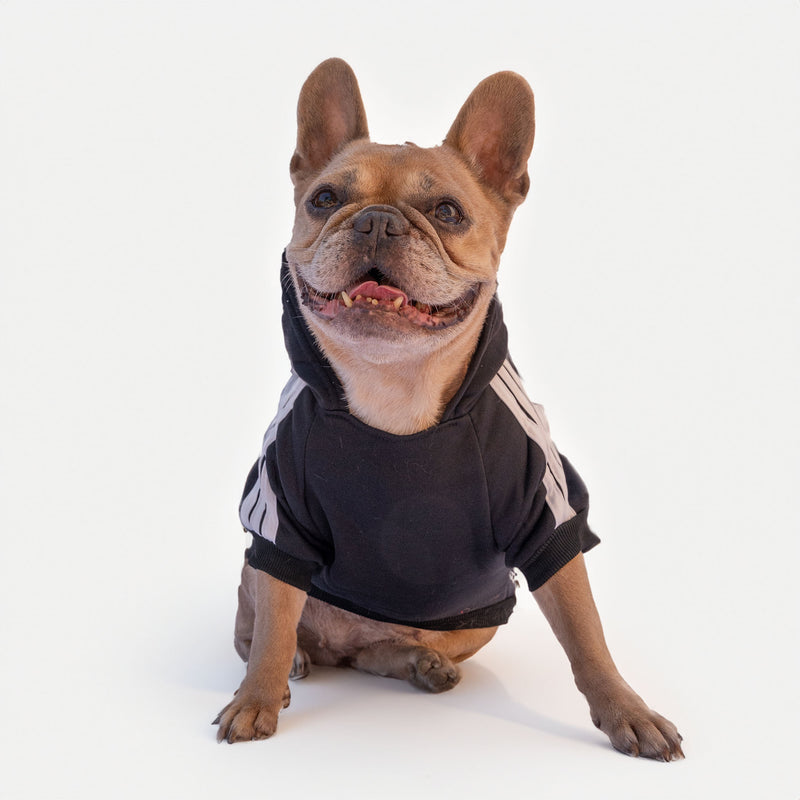 Schwarzes Sweatshirt „Adidog“, personalisierbar mit Namen