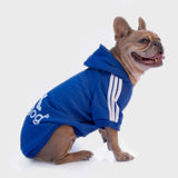 Blaues Sweatshirt „Adidog“, personalisierbar mit Namen