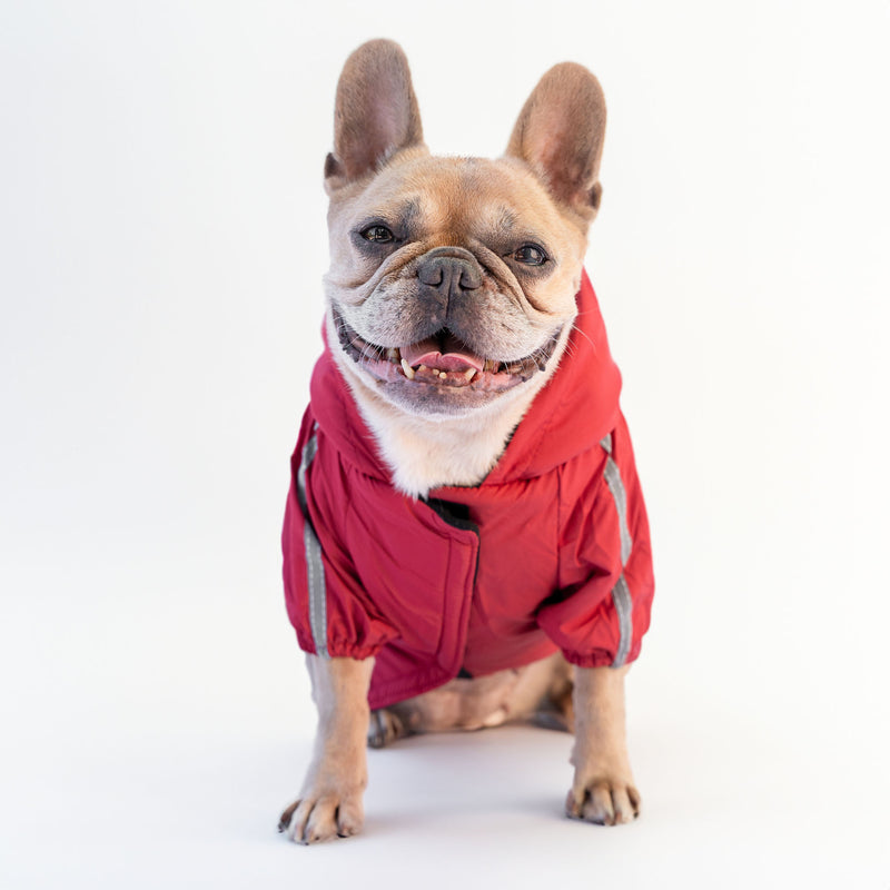 Rote Jacke „The Dog Face“ X „Pupreme“, anpassbar mit Namen