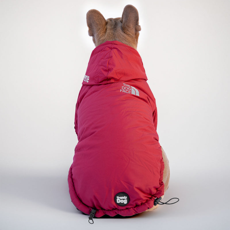 Rote Jacke „The Dog Face“ X „Pupreme“, anpassbar mit Namen
