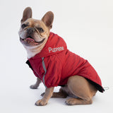 Rote Jacke „The Dog Face“ X „Pupreme“, anpassbar mit Namen