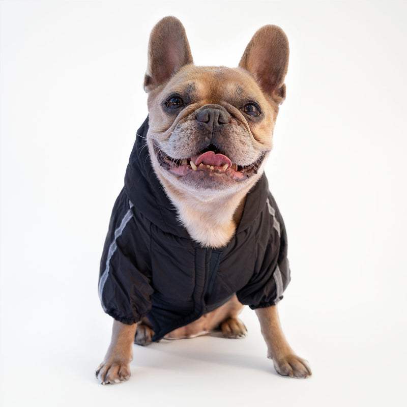 Schwarze Jacke „The Dog Face“ X „Pupreme“, anpassbar mit Namen