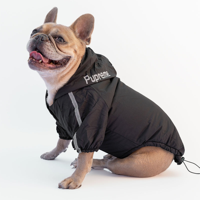 Schwarze Jacke „The Dog Face“ X „Pupreme“, anpassbar mit Namen