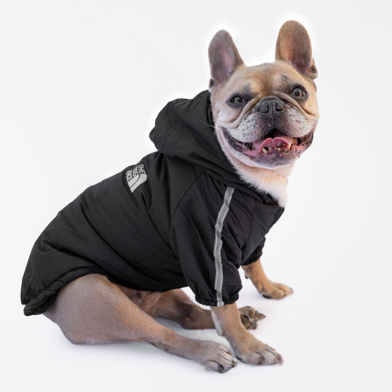 Schwarze Jacke „The Dog Face“ X „Pupreme“, anpassbar mit Namen