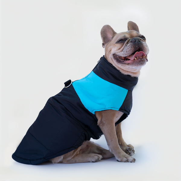 Doudoune avec détail bleu clair.Bavoir intégré.Personnalisable avec prénom
