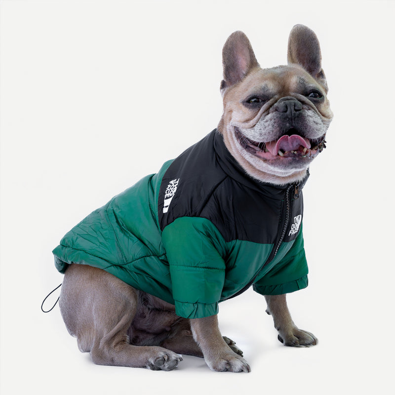 Doudoune verte "The Dog Face" personnalisable avec prénom