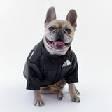Schwarze Daunenjacke „The Dog Face“, personalisierbar mit Namen