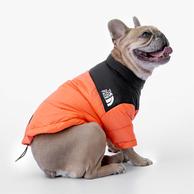 Orangefarbene Daunenjacke „The Dog Face“, personalisierbar mit Namen