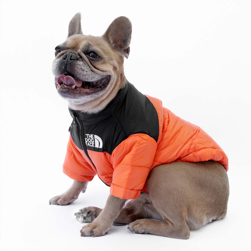 Orangefarbene Daunenjacke „The Dog Face“, personalisierbar mit Namen