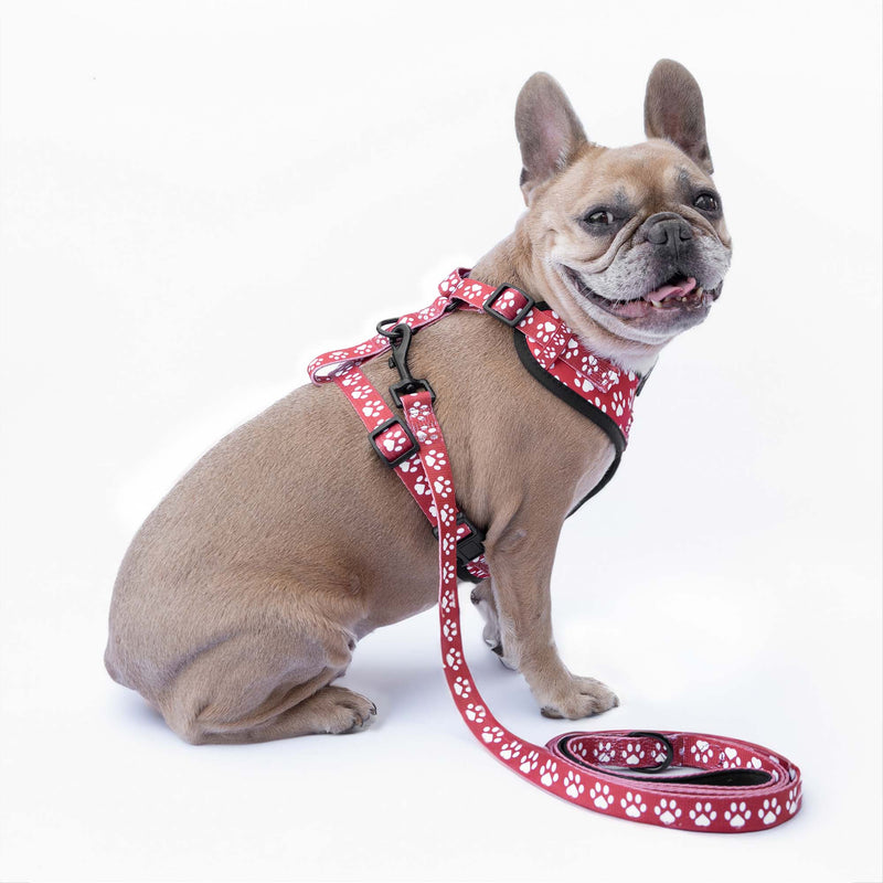 Trendy Dog® Geschirr „Pfoten“ Personalisierbar mit Namen, bis 35kg