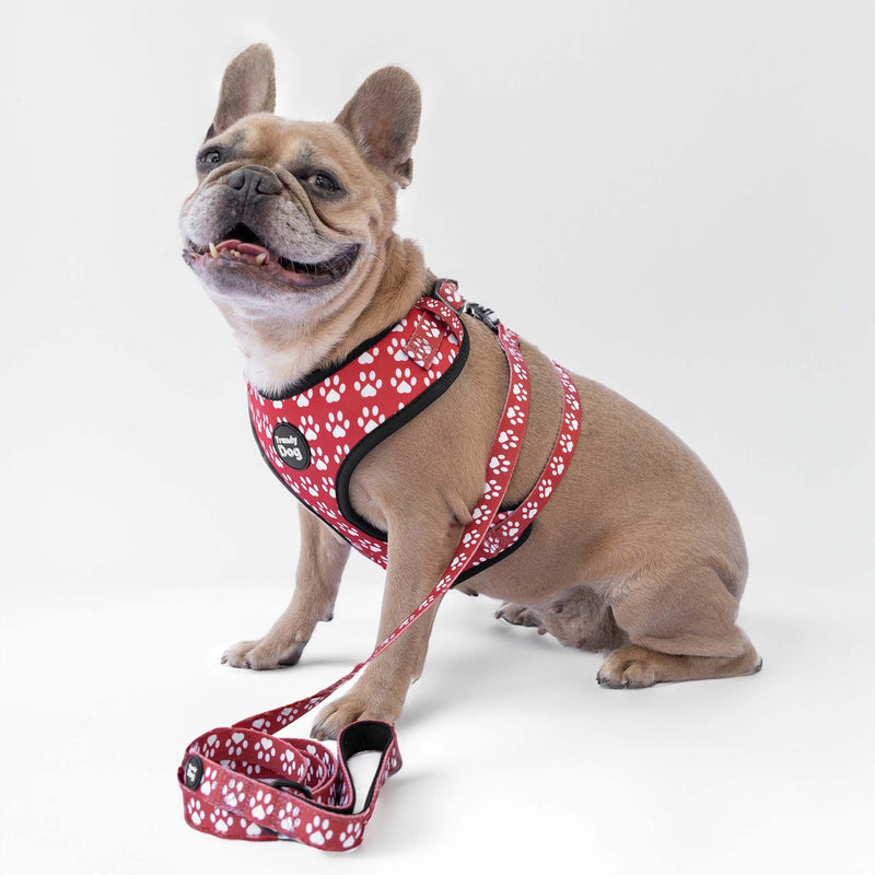 Pettorina Trendy Dog® "Zampette" Personalizzabile con nome, fino a 35kg