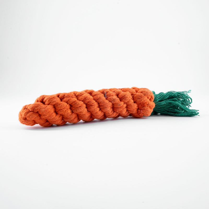 Gioco Per Cani a forma di carota