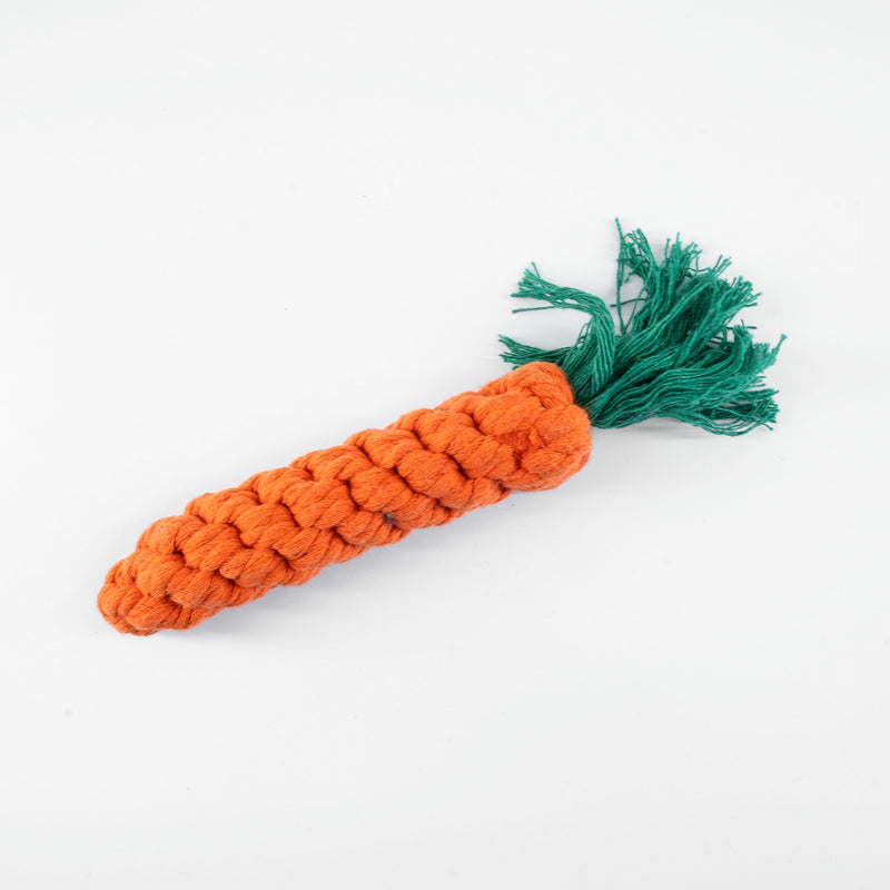 Hundespielzeug in Karottenform 