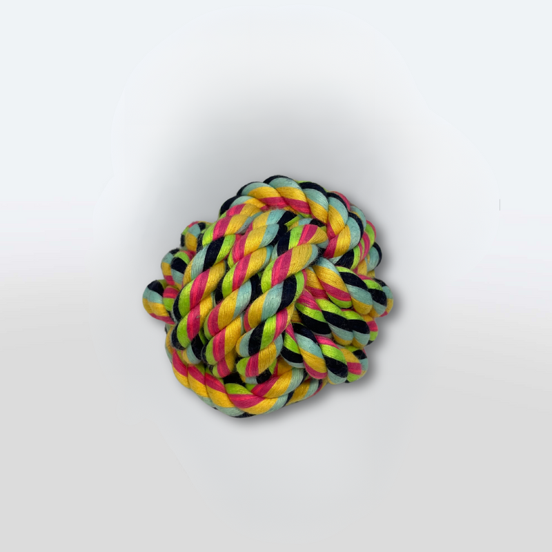 Balle pour chien multicolore